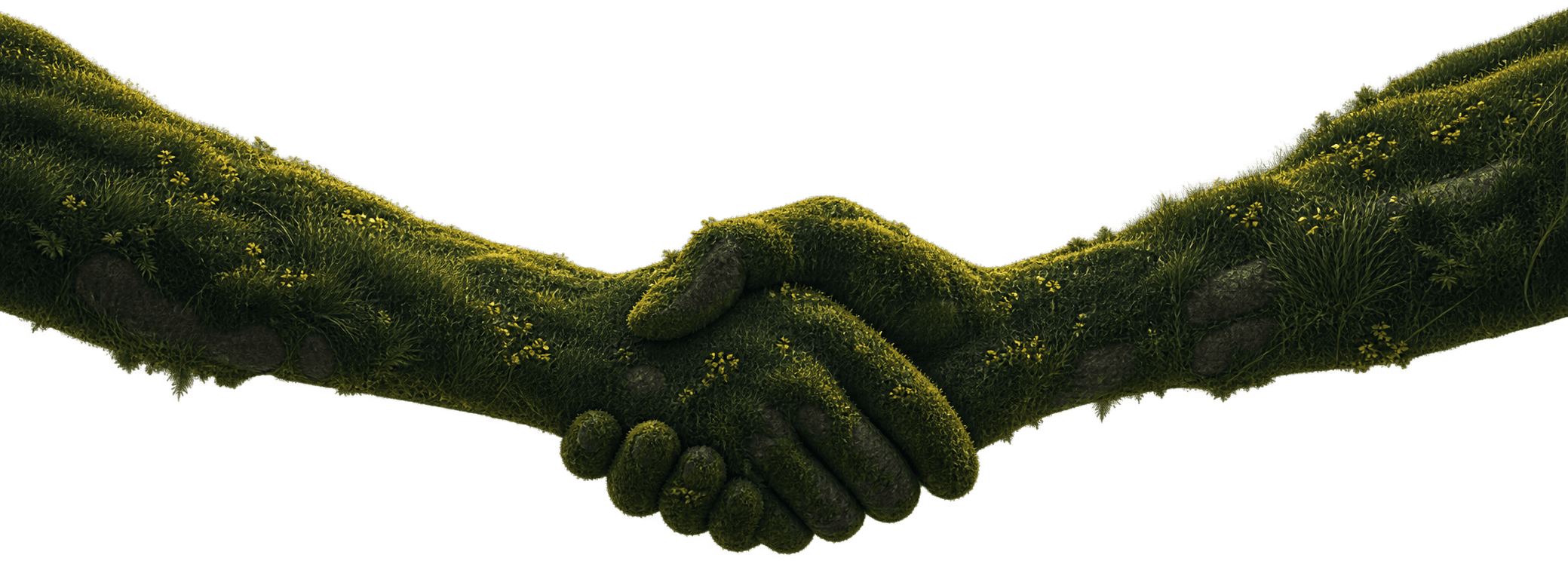 Sponsor Handshake